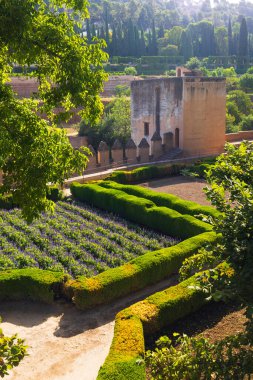 Alhambra, Generalife ve Albayzin (Generalife y Albaicn de Granada), UNESCO sitesi, Granada, Endülüs, İspanya.