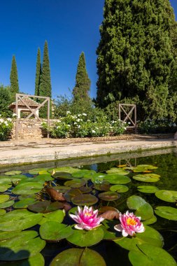 Alhambra, Generalife ve Albayzin (Generalife y Albaicn de Granada), UNESCO sitesi, Granada, Endülüs, İspanya.