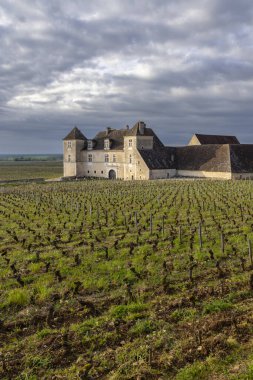 Clos de Vougeot, Cote de Nuits, Burgundy, Fransa yakınlarındaki tipik üzüm bağları