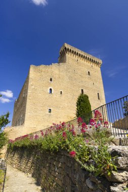Chateauneuf-du-Pape Kalesi kalıntıları, Cotes du Rhone, Fransa