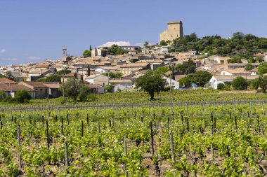 Typical vineyard with stones near Chateauneuf-du-Pape, Cotes du Rhone, France clipart