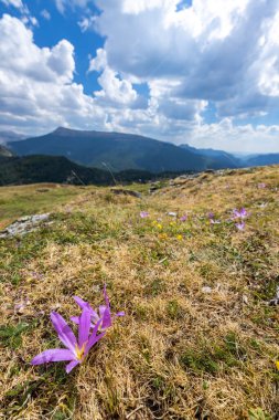 Portillo de Eraize ve Col de la Pierre St Martin yakınlarındaki tipik manzara, İspanya 'nın Pireneler kentindeki Fransız sınırı.