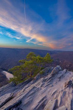 Popice yakınlarındaki Sealsfielduv kamen, NP Podyji, Güney Moravya, Çek Cumhuriyeti