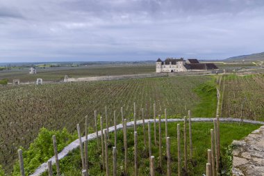 Clos de Vougeot, Cote de Nuits, Burgundy, Fransa yakınlarındaki tipik üzüm bağları