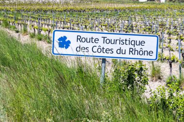 Şarap yolu (Route Touristique des Cotes du Rhone) Faucon, Cotes du Rhone, Fransa yakınlarındaki tipik üzüm bağları