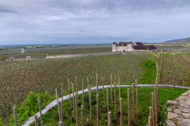 Clos de Vougeot, Cote de Nuits, Burgundy, Fransa yakınlarındaki tipik üzüm bağları