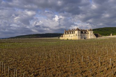 Typical vineyards near Clos de Vougeot, Cote de Nuits, Burgundy, France clipart