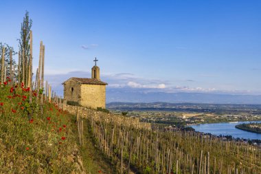 Grand cru vineyard and Chapel of Saint Christopher, Tain l'Hermitage, Rhone-Alpes, France