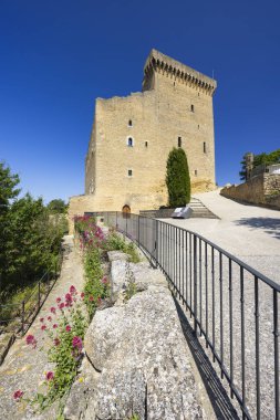 Chateauneuf-du-Pape Kalesi kalıntıları, Cotes du Rhone, Fransa