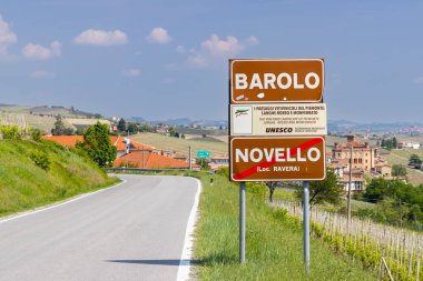 Barolo yakınlarındaki tipik üzüm bağları, Barolo şarap bölgesi, Cuneo ili, Piedmont bölgesi, İtalya