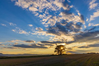 Doğa koruma alanı Broumovske steny, doğu Bohemya, Çek Cumhuriyeti