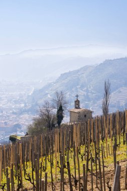 Grand cru vineyard and Chapel of Saint Christopher, Tain l'Hermitage, Rhone-Alpes, France clipart