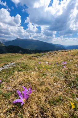 Portillo de Eraize ve Col de la Pierre St Martin yakınlarındaki tipik manzara, İspanya 'nın Pireneler kentindeki Fransız sınırı.