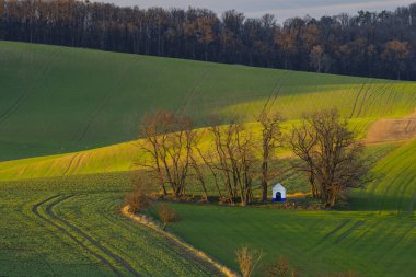 Strazovice, Güney Moravya, Çek Cumhuriyeti yakınlarındaki St. Barborkas şapeli manzaralı