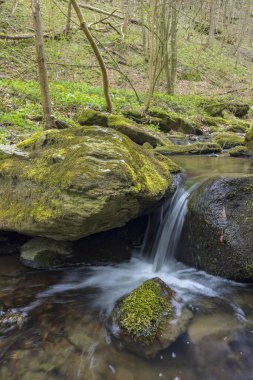 Burg Kaja ve Merkersdorf yakınlarındaki tipik manzara, Ulusal Park Thayatal, Aşağı Avusturya, Avusturya