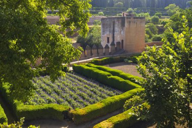 Alhambra, Generalife ve Albayzin (Generalife y Albaicin de Granada), UNESCO sitesi, Granada, Endülüs, İspanya