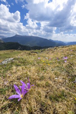 Portillo de Eraize ve Col de la Pierre St Martin yakınlarındaki tipik manzara, İspanya 'nın Pireneler kentindeki Fransız sınırı.