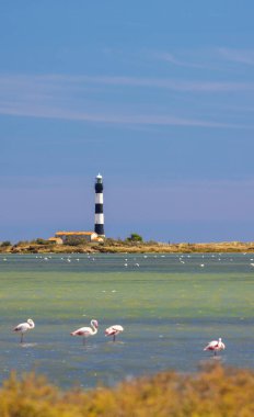 lighthouse Faraman, Salin de Giraud, Provence-Alpes-Cote d'Azur, France clipart