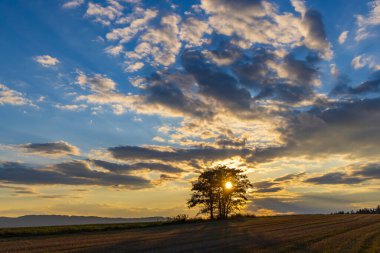 Doğa koruma alanı Broumovske steny, doğu Bohemya, Çek Cumhuriyeti