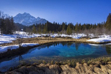 Slovenya 'nın Zelenci kentindeki kış manzarası