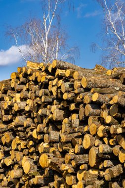 wooden logs on the open air