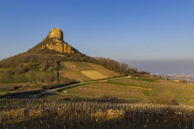 Üzüm bağı olan Solutre Kayası, Burgundy, Solutre-Pouilly, Fransa