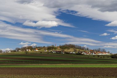 Traditional wine cellars with vineyard in Galgenberg near Wildendurnbach, Lower Austria, Austria clipart