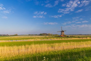 Hollanda, Hollanda 'da yel değirmeni