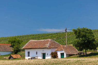 Traditional wine cellars street in Diepolz near Mailberg, Lower Austria, Austria clipart