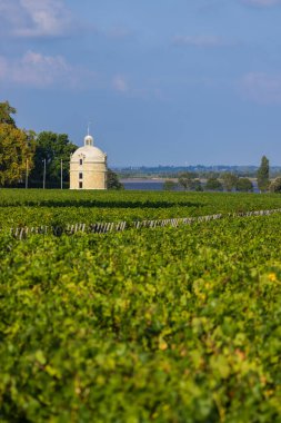Chateau LaTour, Bordeaux, Aquitaine, Fransa yakınlarındaki tipik üzüm bağları