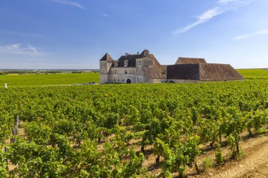 Clos de Vougeot Kalesi, Cote de Nuits, Burgundy, Fransa