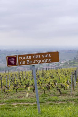 Saint-Veran ve Macon yakınlarındaki şarap yolu, Burgundy, Fransa