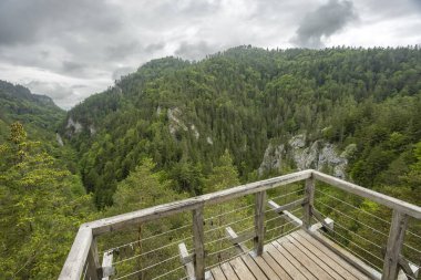 Bahar zamanı Kvacianska Vadisi, Chocske Vrchy, Slovakya