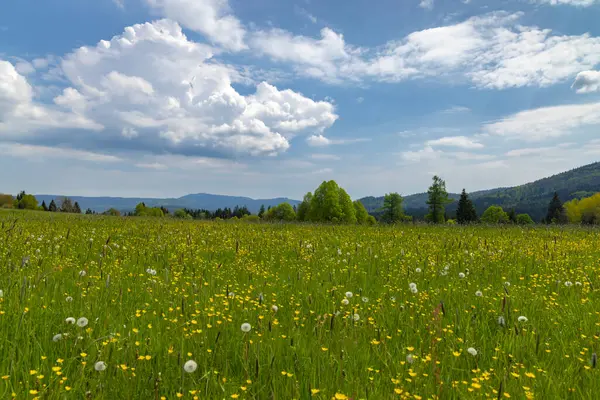 Modrava yakınlarındaki tipik manzara, Ulus Parkı Sumava, Çek Cumhuriyeti