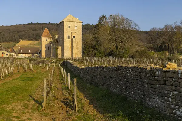 Chateau de Gevrey-Chambertin (kale), Burgundy, Fransa