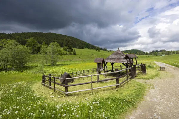 stock image Spring of Hron, Horehronie, Low Tatras, Slovakia