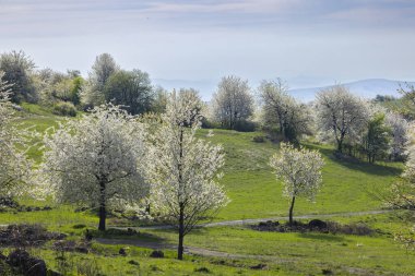 Stiavnicke Vrchy 'deki tipik manzara Krupinska planina, Slovakya