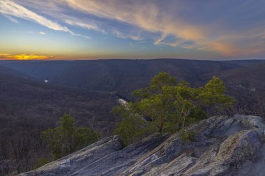 Popice yakınlarındaki Sealsfielduv kamen, NP Podyji, Güney Moravya, Çek Cumhuriyeti