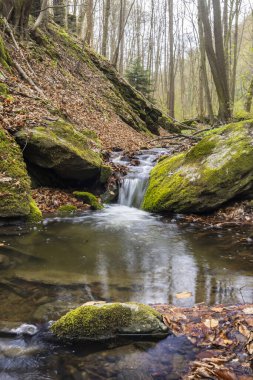 Burg Kaja ve Merkersdorf yakınlarındaki tipik manzara, Ulusal Park Thayatal, Aşağı Avusturya, Avusturya