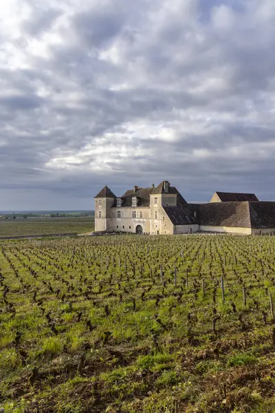 Clos de Vougeot, Cote de Nuits, Burgundy, Fransa yakınlarındaki tipik üzüm bağları