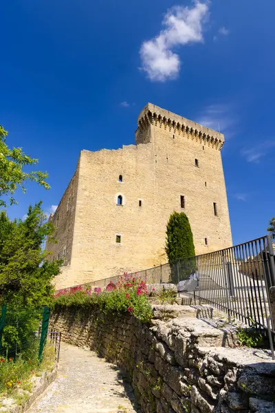 Chateauneuf-du-Pape Kalesi kalıntıları, Cotes du Rhone, Fransa