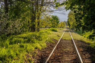 Otovice, Doğu Bohemya, Çek Cumhuriyeti yakınlarındaki tren rayları
