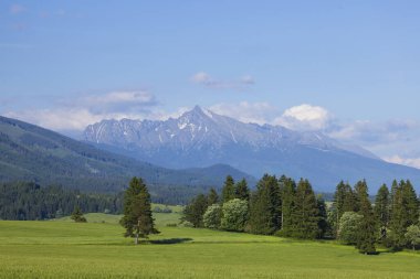 Yüksek Tatralar ve Krivan İlkbahar Zirvesi, Slovakya