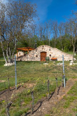 Şarap mahzeni, Palava bölgesi, Güney Moravya, Çek Cumhuriyeti