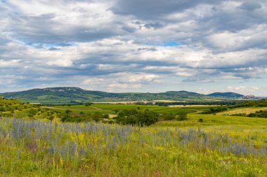 Palava 'da bahar manzarası Dolni Dunajovice, Güney Moravya, Çek Cumhuriyeti