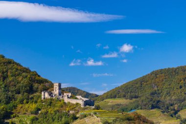 Hinterhaus Kalesi kalıntıları (Ruine Hinterhaus), Spitz, Wachau, UNESCO sitesi, Aşağı Avusturya, Avusturya