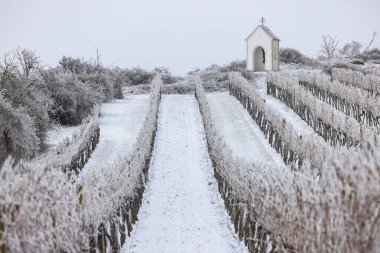 Hnanice yakınlarındaki Calvary, Znojmo bölgesi, Güney Moravya, Çek Cumhuriyeti