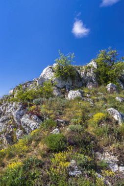 Palava landscape, Natural monument Cat Rock (Kocici skala), Southern Moravia, Czech Republic