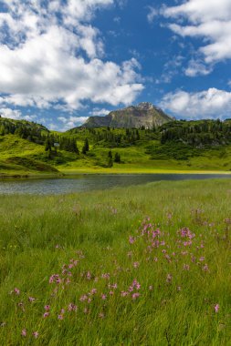 Kalbelesee yakınlarındaki manzara, Hochtann Dağı Geçidi, Warth, Vorarlberg, Avusturya