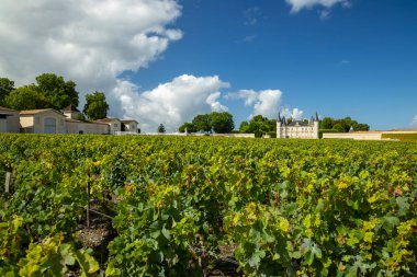 Şato Pichon Longueville Baron, Medoc, Fransa